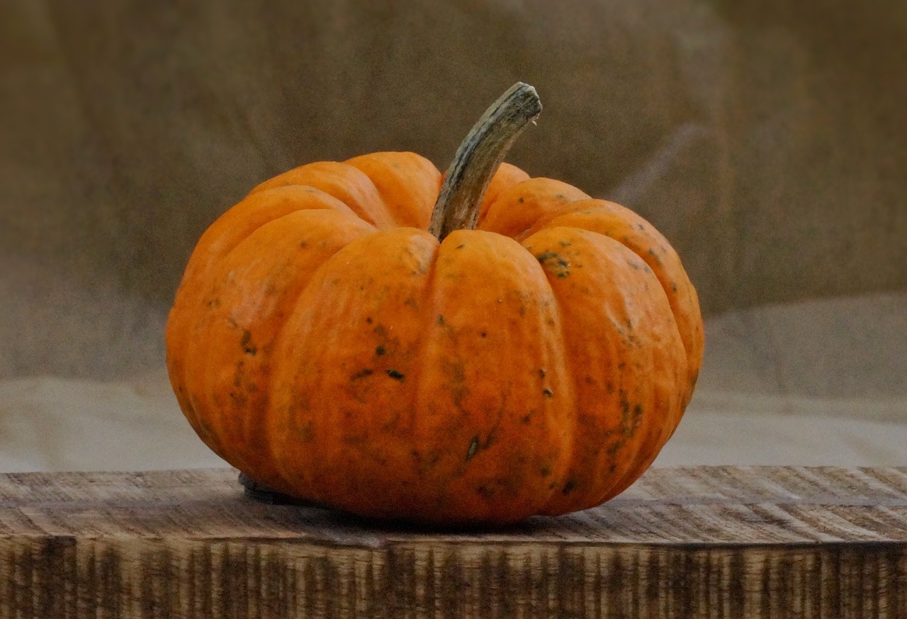 Best Tips for Growing Pumpkins in Your Garden